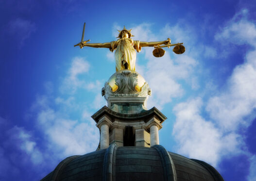 Lack of Court Interpreters Causes Courtroom Drama