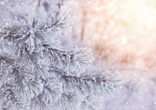 Christmas Customs Around The World